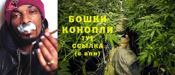 a pvp Пересвет