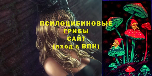 марки lsd Переславль-Залесский