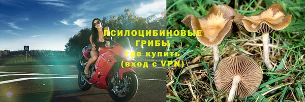 a pvp Пересвет