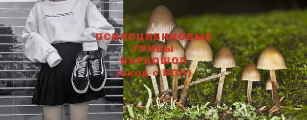 прущая мука Пестово