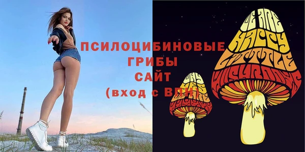 марки lsd Переславль-Залесский