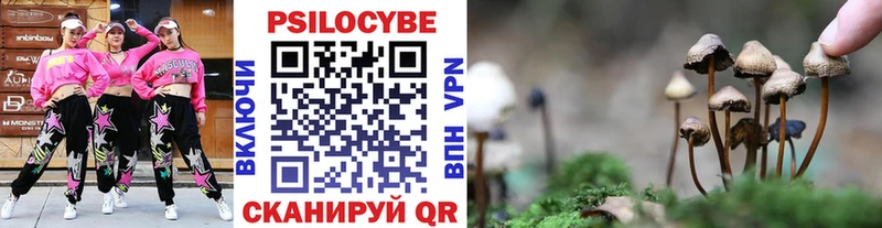 дарнет шоп  Шиханы  Псилоцибиновые грибы Psilocybine cubensis 